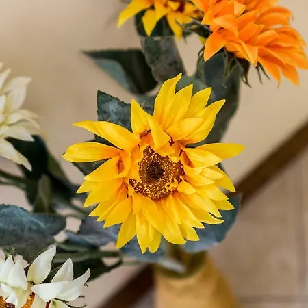 Διαμέρισμα Patricia